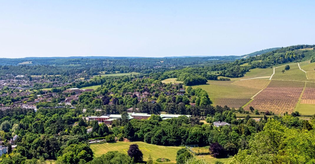 Autumn walks Guildford