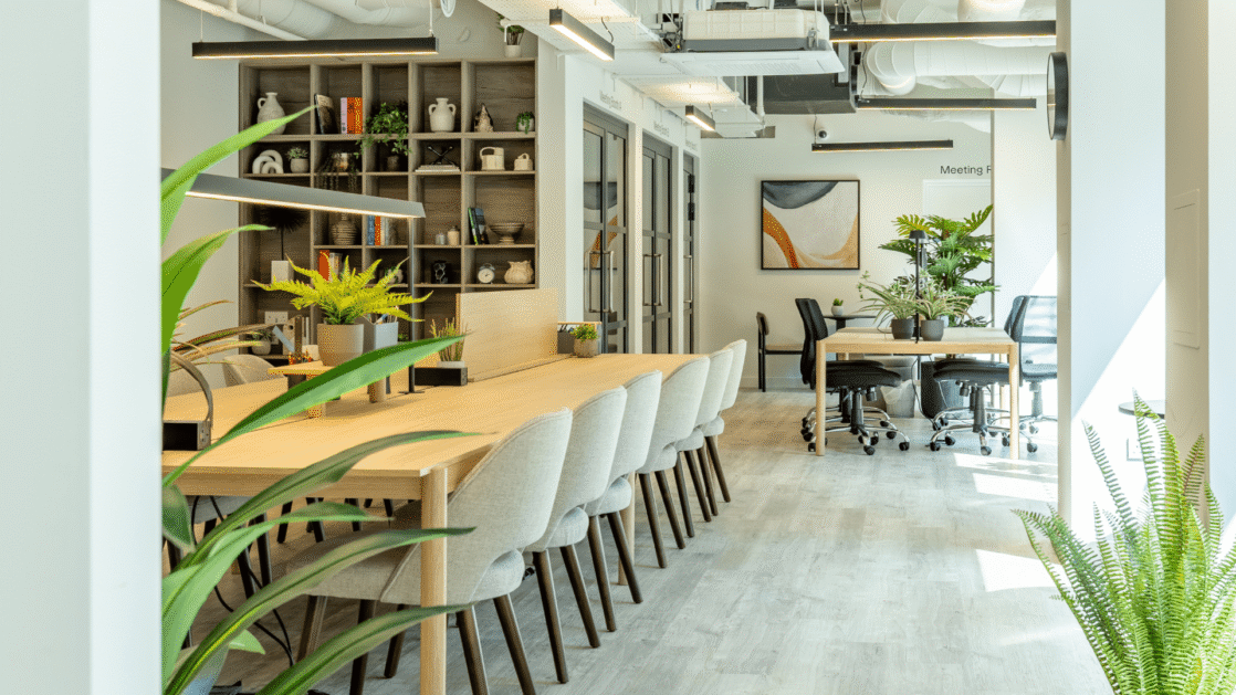 Guildford Plaza co-working space